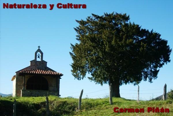 Capilla de Santo Toribio de Becea