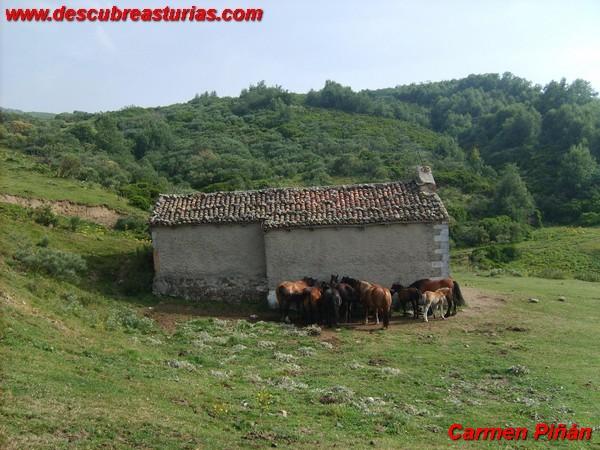 Capilla Trobaniello