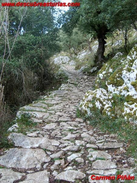 Calzada de Caoro