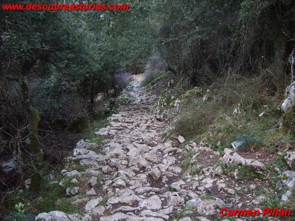 Calzada de Caoro