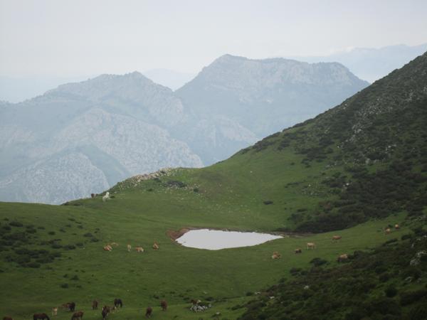 Lagunas de Aranga