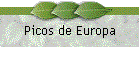 Picos de Europa